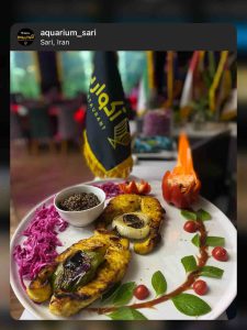 اکواریوم | بهترین رستوران ساری